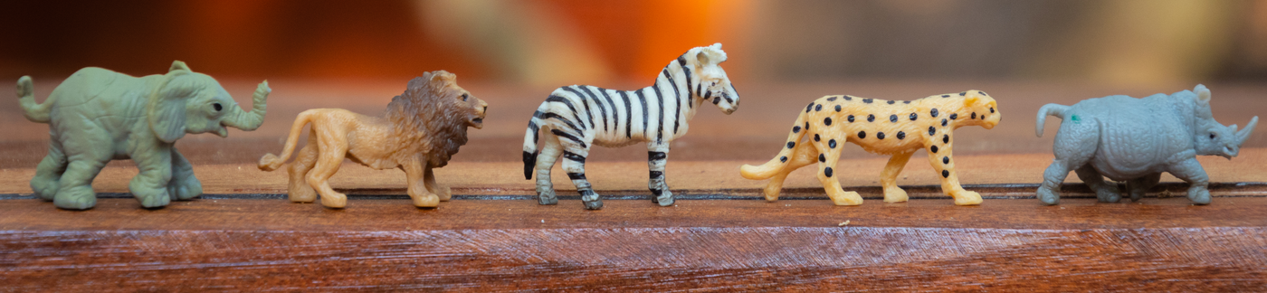 Animal Toys
